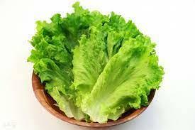 生菜